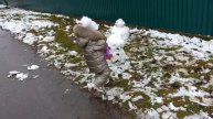 Доченька бегает по снежку и лепит снеговика