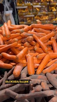 Как выбрать полезную морковь 🥕 #выживальщик #prepper
