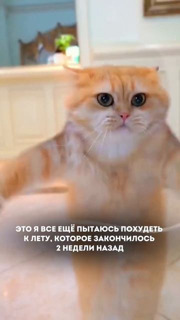 А что если начать выбирать себя этой осенью и перестать мучаться от диет🔥 Как Читай в комментариях