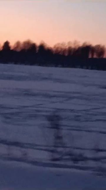 VID-20250317-WA0065