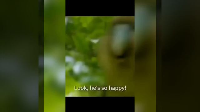 🔞_СБОРКА_ПРИКОЛОВ_🤣_ЛУЧШИЕ_ПРИКОЛЫ_ЧАСТЬ_69