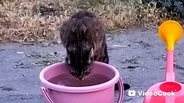🌛НАСТУПИТ ВЕЧЕР...