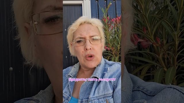 Бундестаг опять распустят