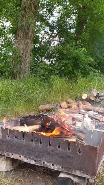 #мангал #огонь #природа #шашлыки #отдых #релакс #relax #рек?