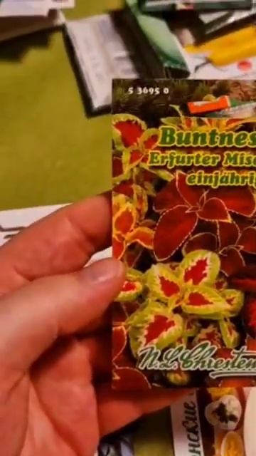 что высевать на рассаду в феврале?