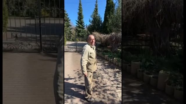 Весна в разгаре. Сегодня будем смотреть как себя чувст