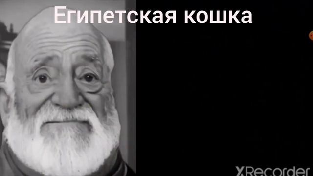 твой первый мем - это   стареющие лица мистера исключительного   меем