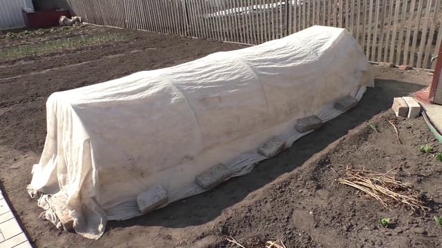 Участок в начале мая