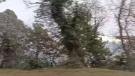 ОТДЫХАЕМ В КРЫМУ. ДОРОГА НА ЯЛТУ. ( Денис Майданов)