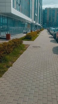 Цитата#Жизнь