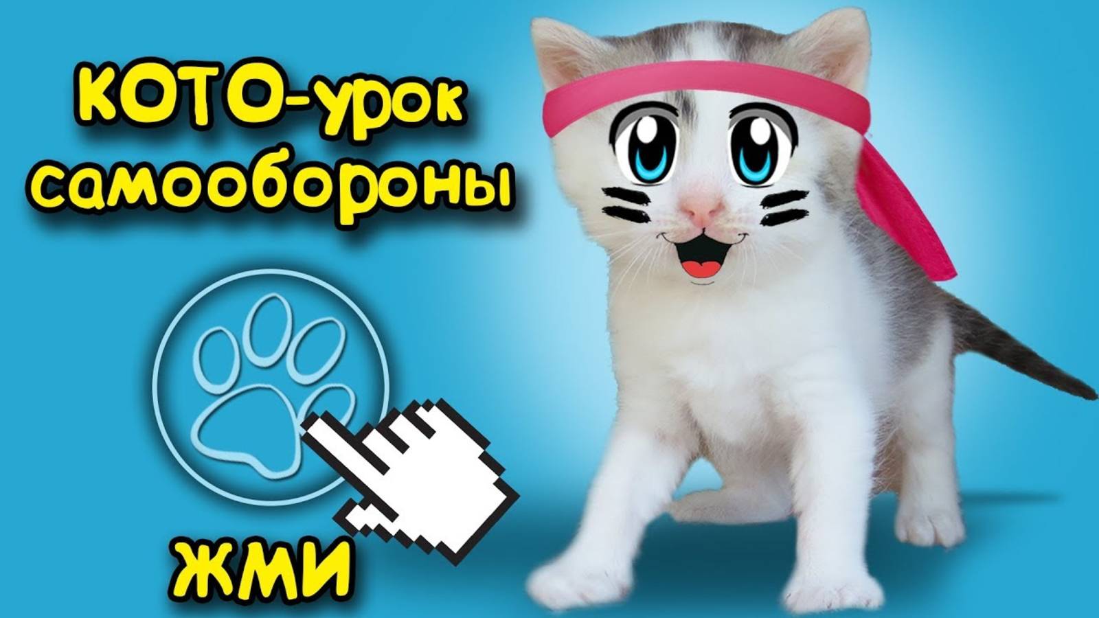 Наши котята КОШКА МУРКА И ШКОЛА КОТОВ! Новый Челлендж для котенка А ну-ка давай-ка