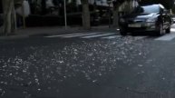 video-05-05-25-11-47-3