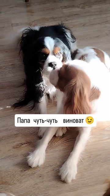 И это так 😅 СЕМЬЯ 💞
