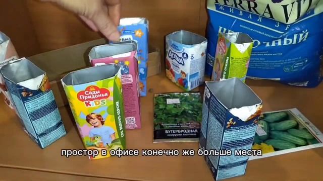 Где рассада скажет wow:дома или в офисе?🌱