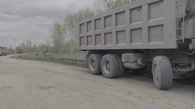 засадили Тонар