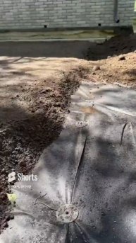 Как правильно посеять газон.#дача #сад #garden #газон #сеят