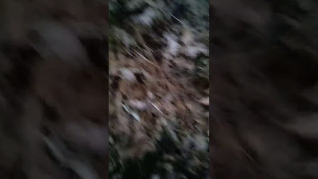поднимаешься на гору чек