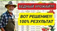 Какие томаты непременно посадим в этом году