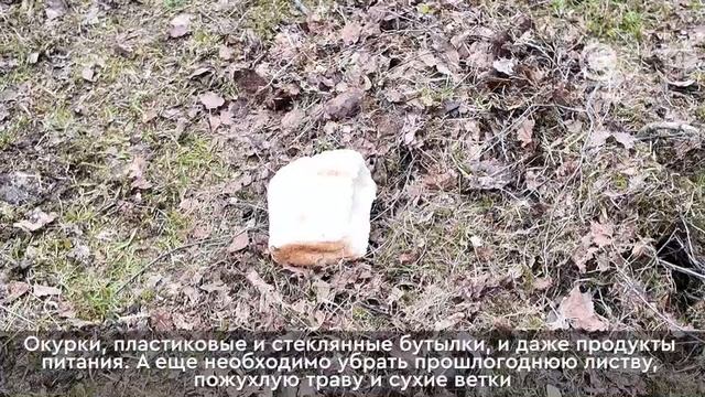 Городской субботник