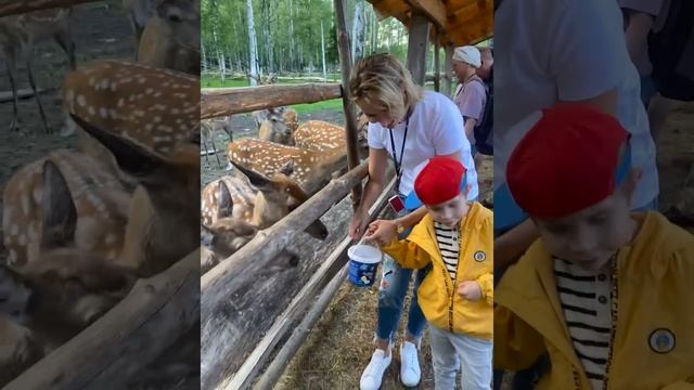 FUN&SUN CRUISE
Нижний Новгород 4*