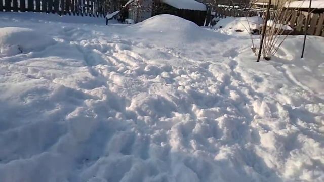Игра в снежки с Арчи:)