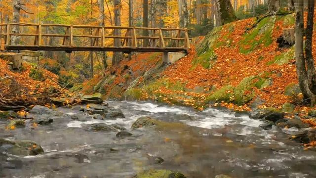 Река.Релакс.