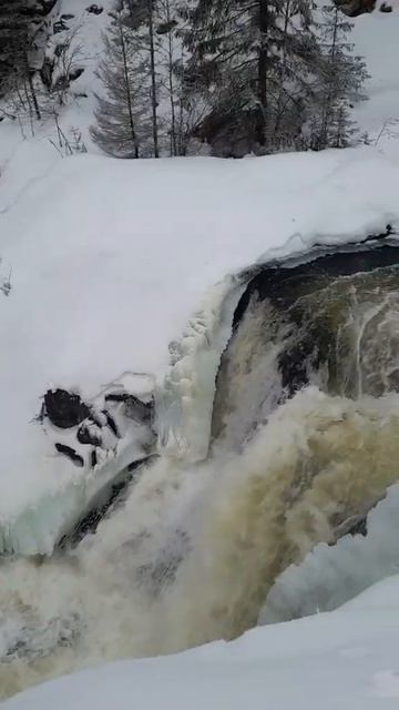 Кивач водопад #карелия #кивач #природа #путешествия #туризм #зима #отдых