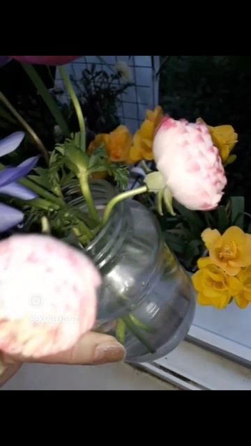Нежные весенние цветы