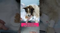 Казбег очень просит помощи в оплате лечения