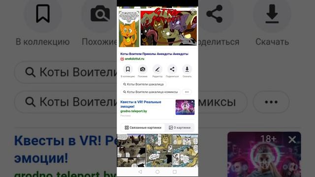 Коты воители приколы часть1