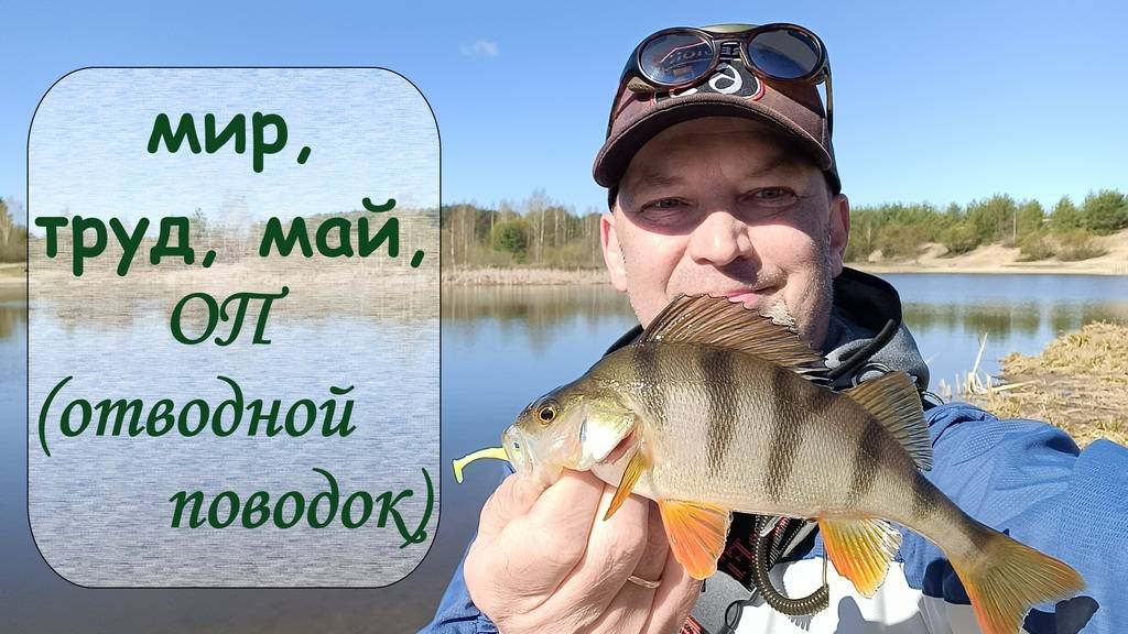 мир, труд, май, ОП (отводной поводок)