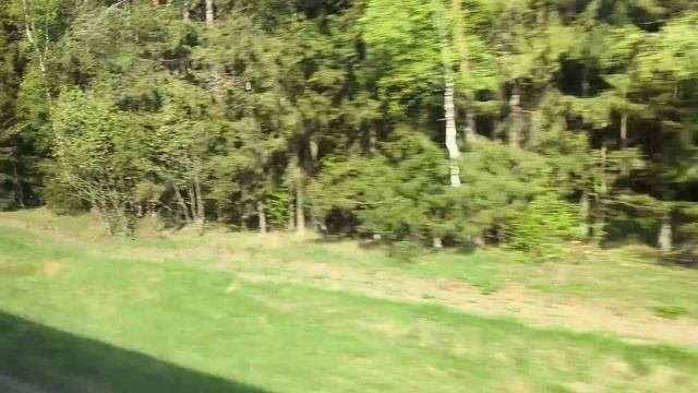Беларусь. Переезд из Минска в Мир. С экскурсоводом. Второй день путешествия.