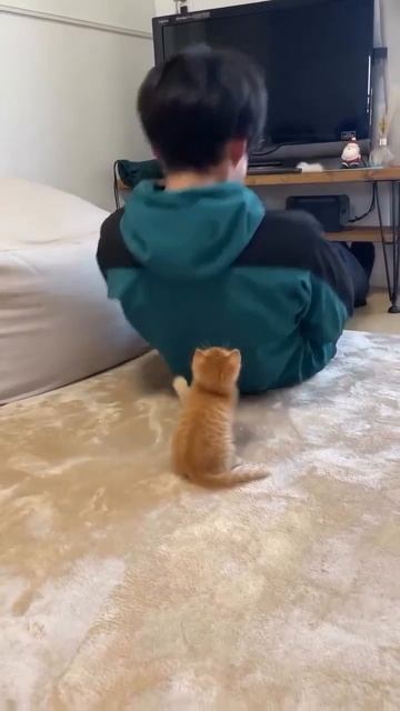Лучший мотиватор