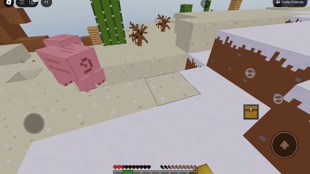1000006683.mp4