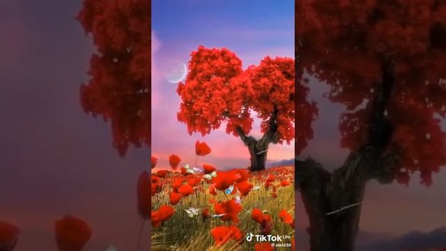 Давно были на природе