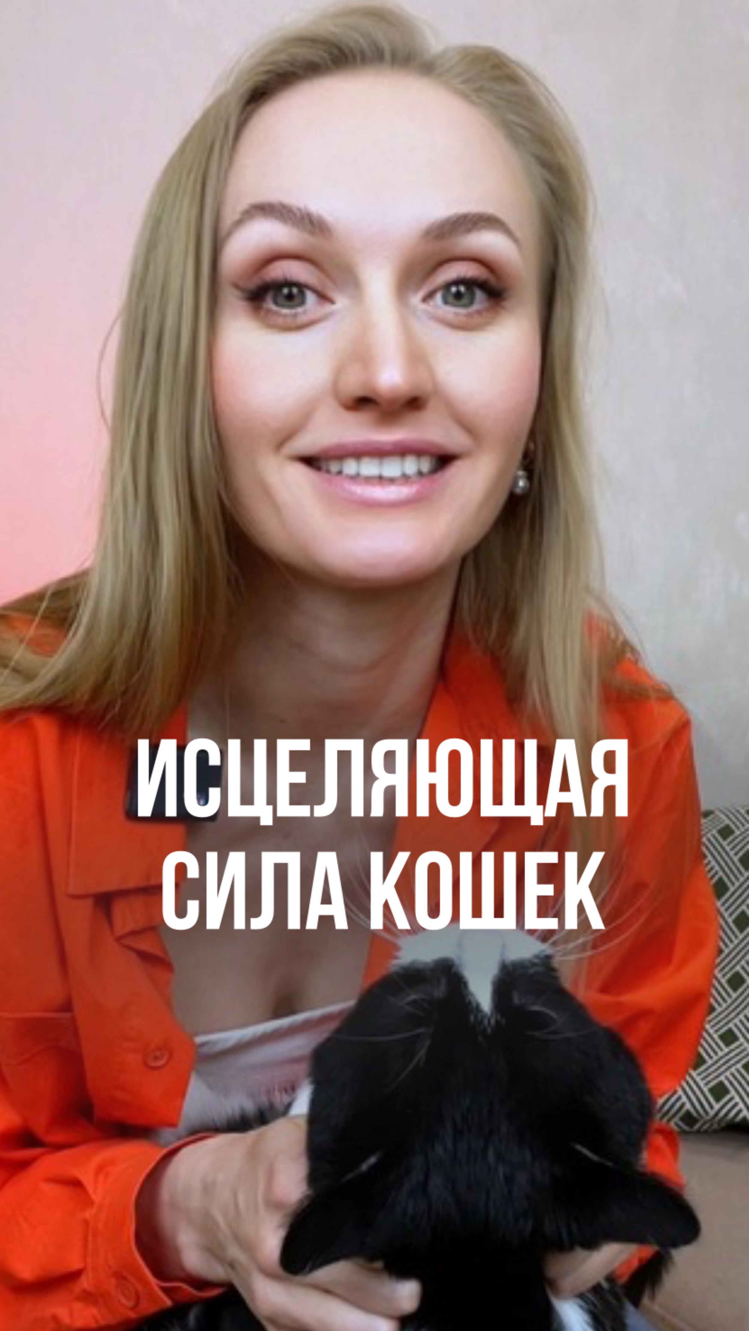 КАК ИСЦЕЛЯЮТ КОШКИ?