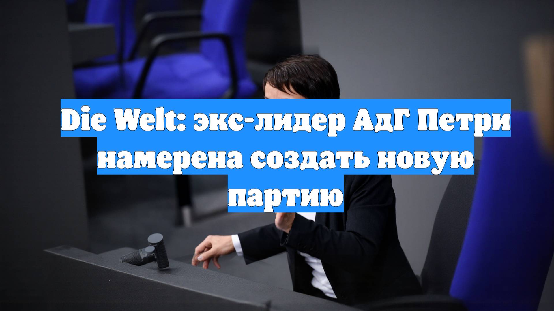 Die Welt: экс-лидер АдГ Петри намерена создать новую партию