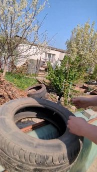 Клумбы из Покрышек #shorts #сад #огород