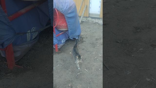 Доброе утро из деревни🏡