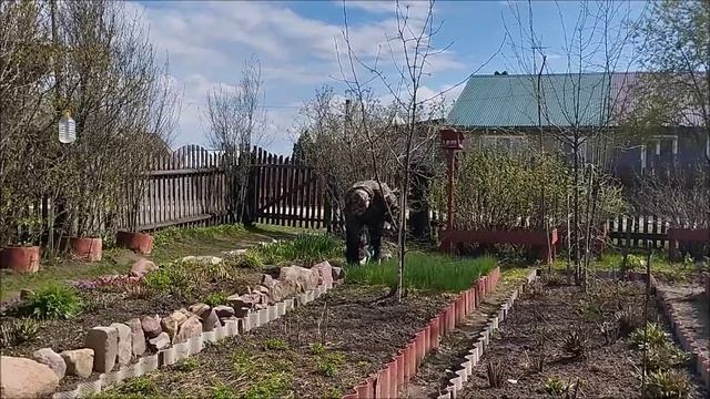 ОГОРОДНЫЕ ЗАБОТЫ И ДЕЛА. ПОПРАВЛЯЕМ ГРЯДКИ