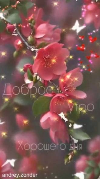 Доброе утро!) Прекрасного дня!)#доброеутро