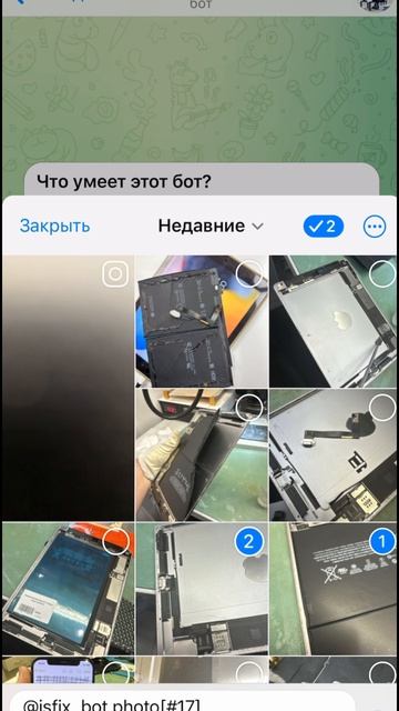 Фотоотчет