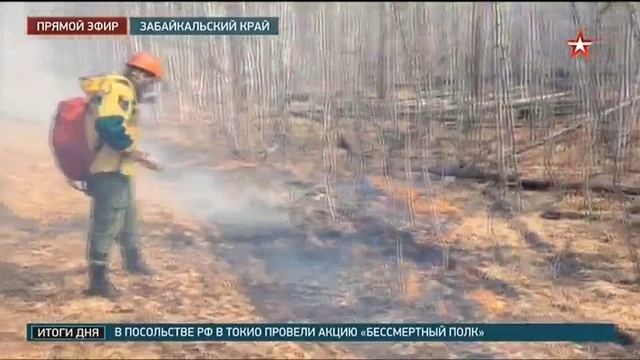 ТК Звезда # Новости, Москва, 5 мая 2025
Природные пожары в Забайкальском крае