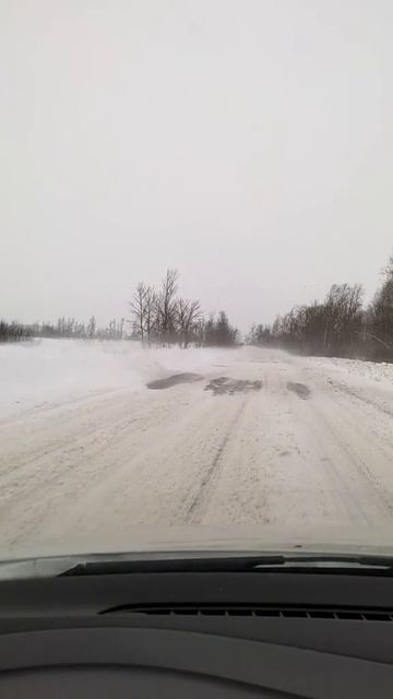 Метель