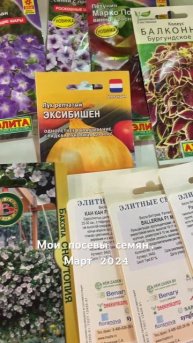 Посевная цветов. Март 2024 #flowers #петуния #бакопа #колеус