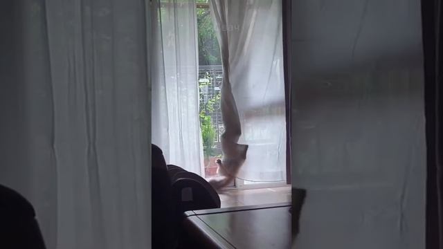 VID_20250503_180512_550.mp4