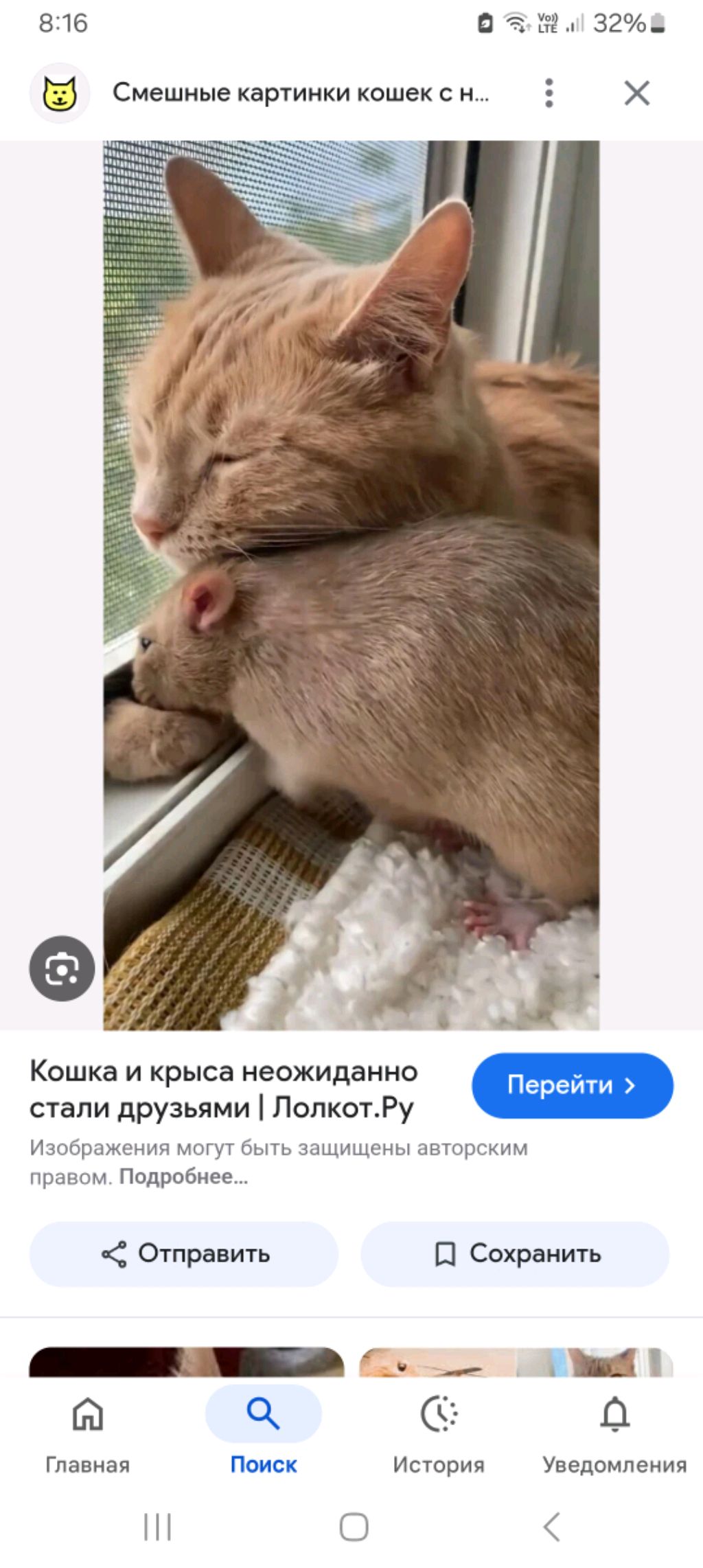 Кузи зайди пожалуйста пожалуйста🥹😢