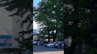 Улица Жумалиева в Алматы. 06.05.2025.