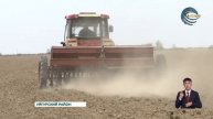 В этом году посевные площади под кукурузу в Уйгурском