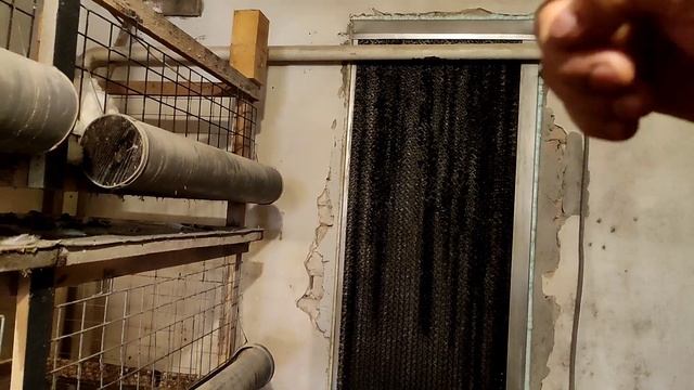 Звіт по🐤🐔🐤🐔та яка посадка має бути в клітках